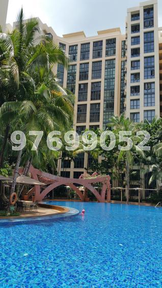East Meadows (D16), Condominium #129463832